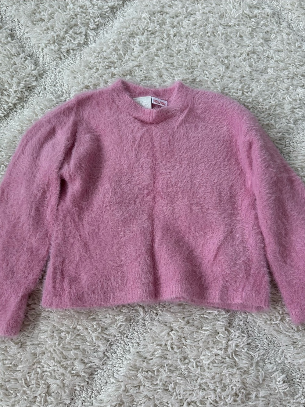Zara Fuzzy Soft Sweater